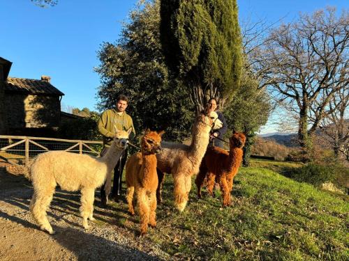 Agriturismo Il Castellare