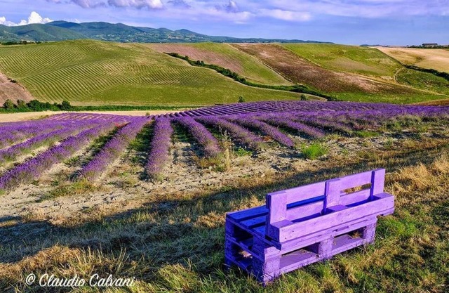 Agriturismo Mandriato by Toscana Family Holidays