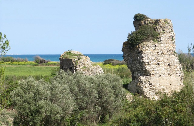 Agriturismo Torre Del Golfo