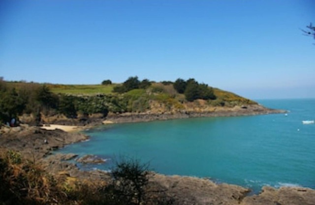 Ajonc, Bord DE MER ET Cote Sauvage