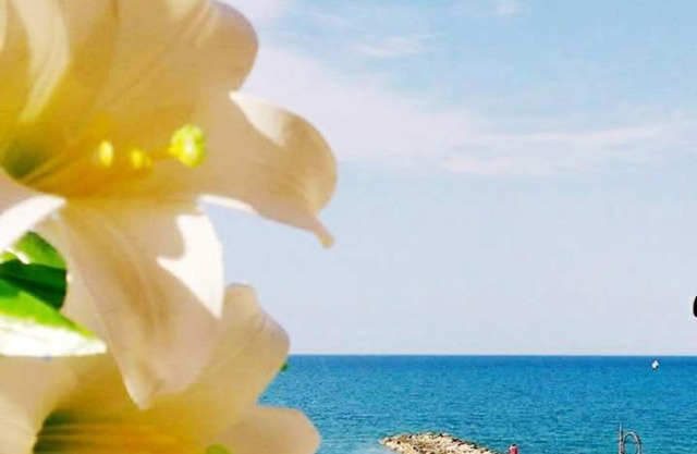 Al Giglio - Affittacamere