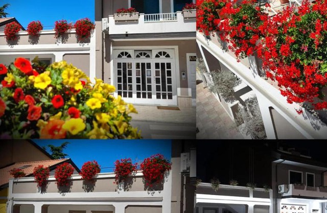 Albergo B&B Ristorante Grace