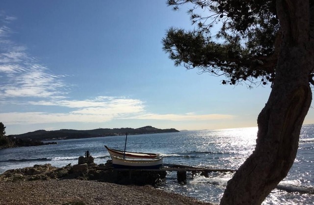 "Alienor, a charming apartment in a pine forest