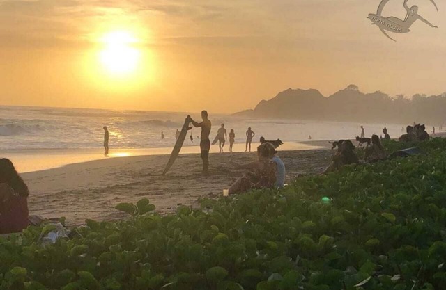 Aloha Surf Nosara