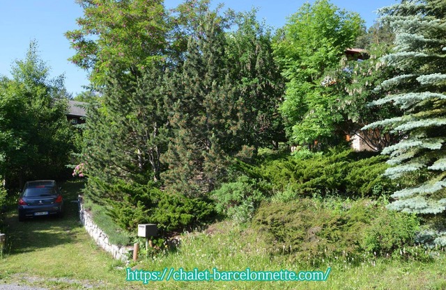 Alpine Chalet La Conchette