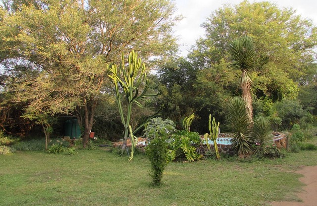 Amanzimlotzi Riverside Bush Camp in Kruger Park, Limpopo