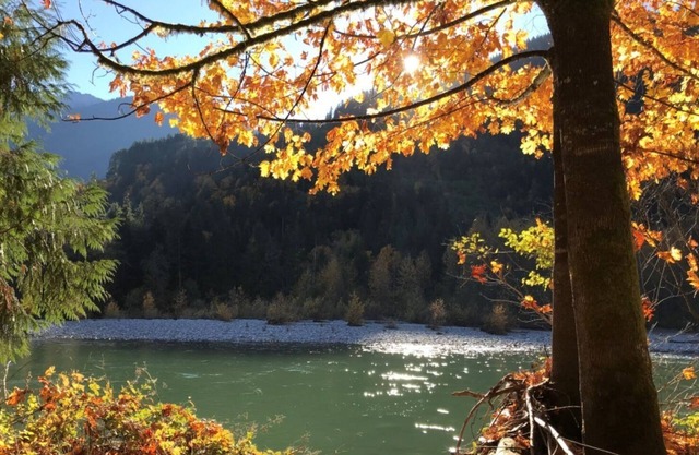 Amazing 4BDR Mountain Vacation Home on Skykomish River