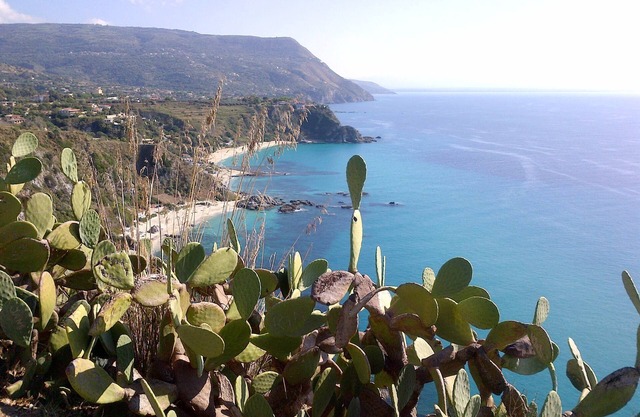 Amazing apartment in the famous Capo Vaticano Bay