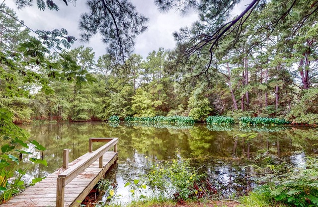 Amazing Home & Guest House on 14 Acres - Vineyards, Pond & Trails