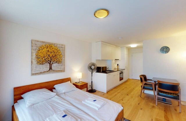 Amazing studio/the city center (Sun8)