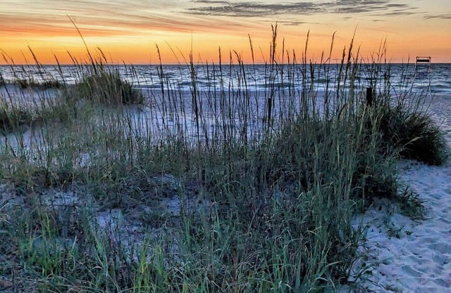 Amelia Island Vacation Rental Quiet 2BR Walk to Beach Pet-Friendly Tennis