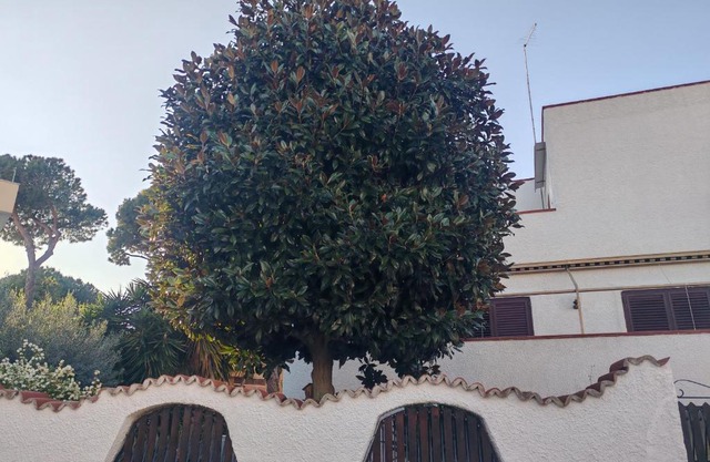 Aminth relax tra mare e colline