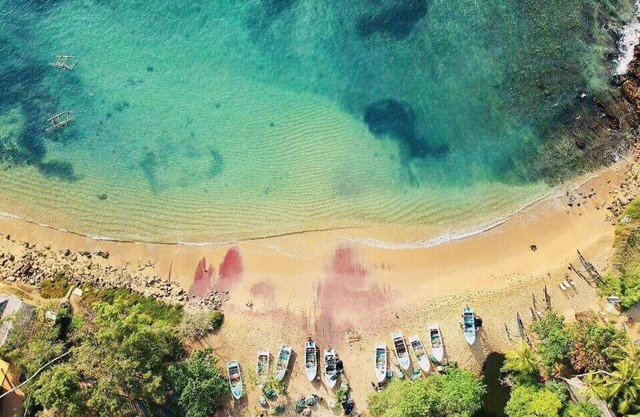 Amour Surf