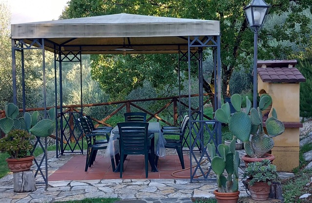 An oasis among the olive trees with a breathtaking view of Florence