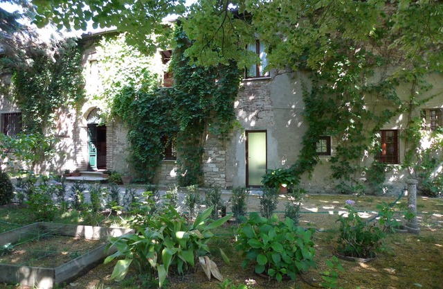 An organic writer and producer, she creates food for the body and mind