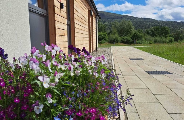 An Spiris Accommodation at Dundreggan Rewilding Centre