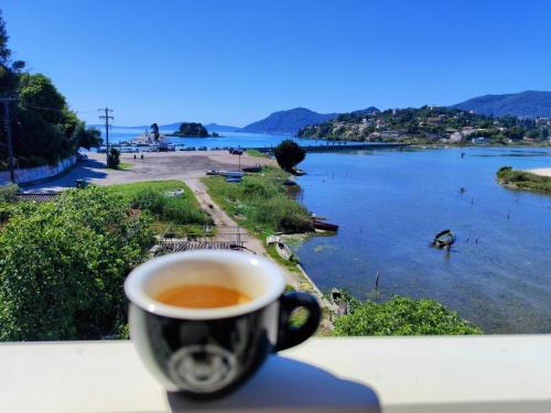 Anna's Apartments and Studios - Planespotter's Paradise!