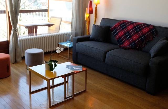 ANNECY Comfortable apartment for 7 people, 25m2 living room. Free parking.