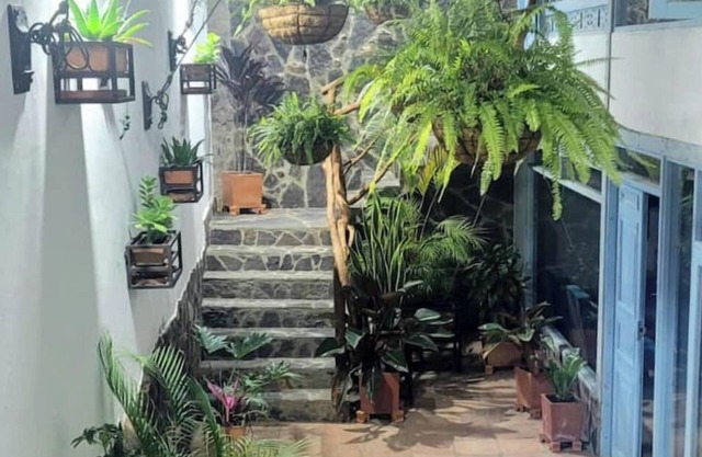 Apartahotel los Tucanes comfortable and familiar environment