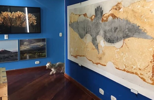 Apartamento Entero - Zona Rosa La T