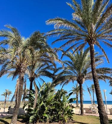 Apartamento Monika Playa y Grau
