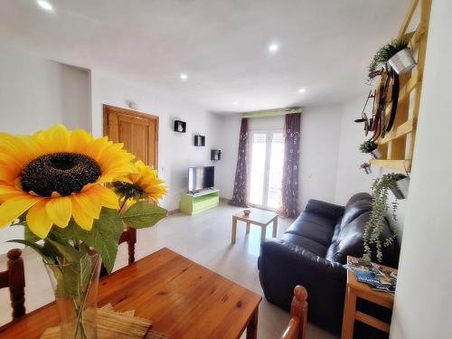 Apartamentos Catalina C