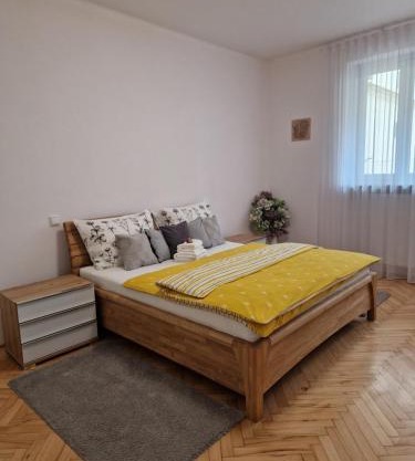 Apartmán Dlouhá 207