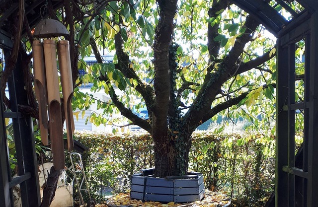 Apartment, 78sqm, 3 bedrooms, max. 4 people