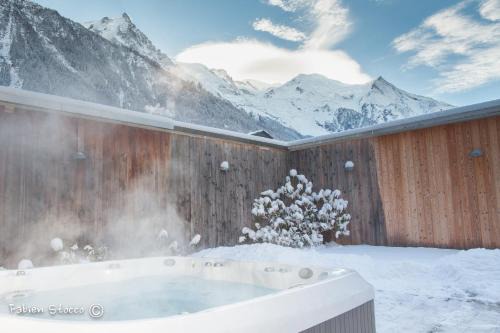 Apartment Au Bon Coin - Luxury Chamonix Hidden Haven, Mont Blanc view, Hot Tub and Garden