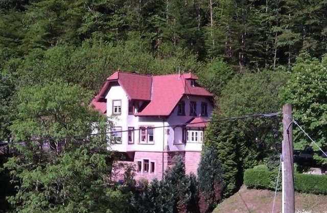 Apartment Black Forest All Saints Waterfalls Oppenau/Renchtal