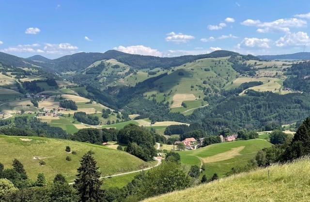 Apartment "Haus Sonnenschein"