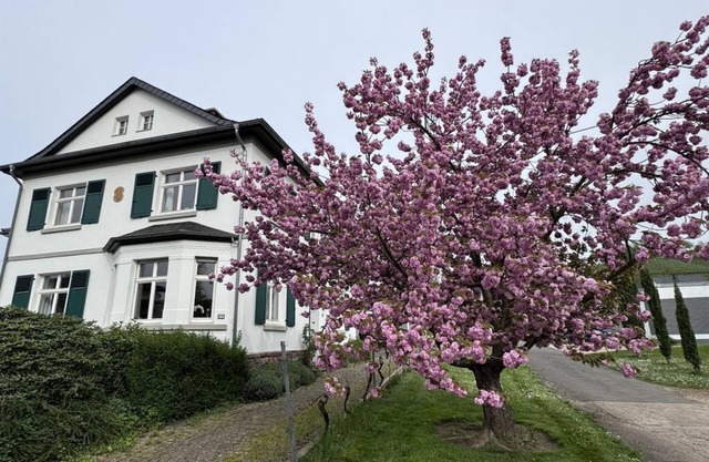 Apartment Im Kelterhaus - Apartment