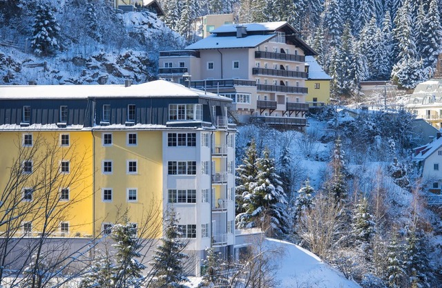 Apartment in Bad Gastein near Ski Slopes