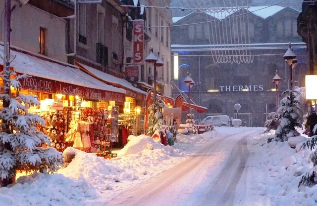 Apartment Le Mont-Dore, 1 bedroom, 4 persons