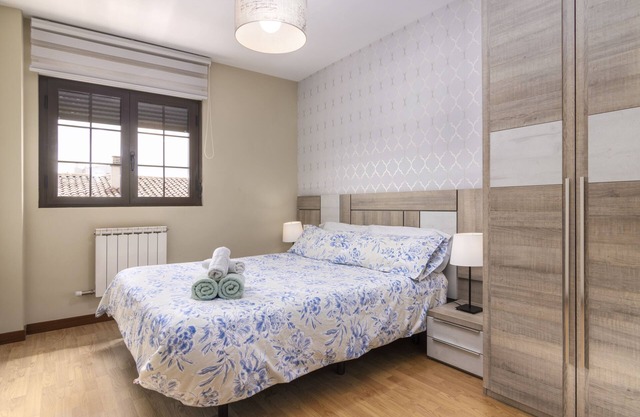 Apartment next to the Plaza Mayor, Wifi and Parking - leonapartamentos