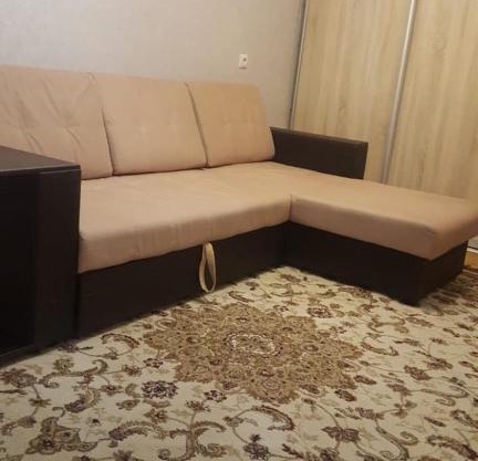 Apartment on Telmana