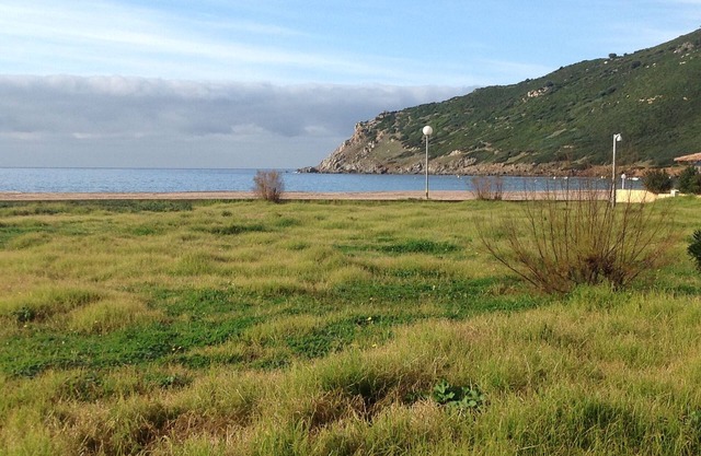 Apartment RDJ 50m beach.