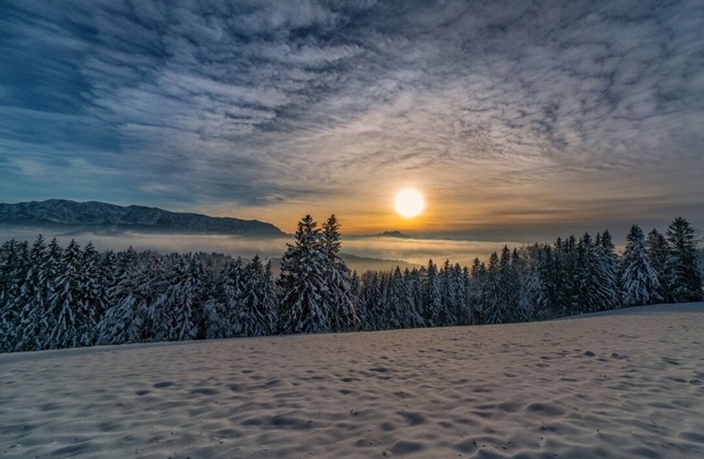 Apartment Sunrise - Your cozy apartment in Weyregg am Attersee
