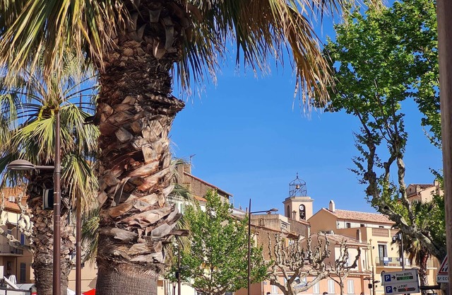 Apartment Sainte-Maxime, 1 bedroom, 4 persons