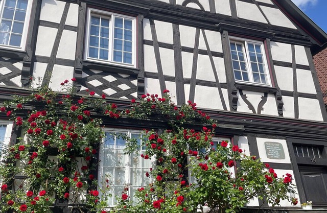 Apartment 'Scheffelhaus' with Wi-Fi