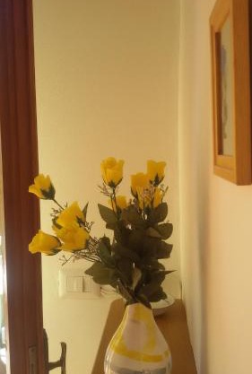 Apartment Via Vittoria