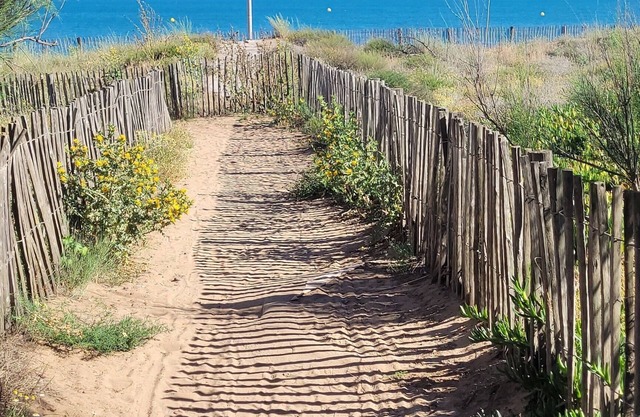 Apparemment Bord de mer
