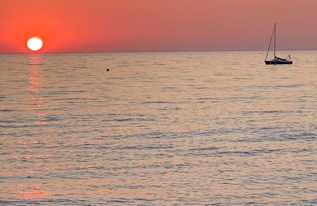 Appart F3 Bord de mer Avec Jardin