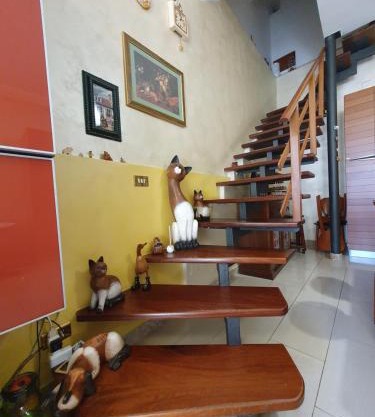 Appartamento Andromeda