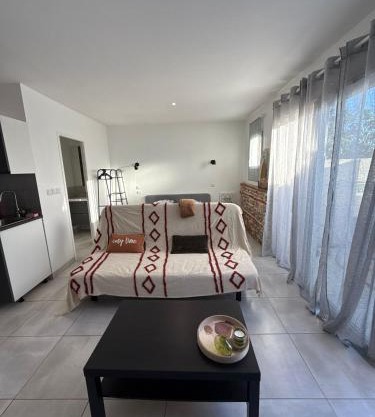 Appartement climatisé Saint Orens N8
