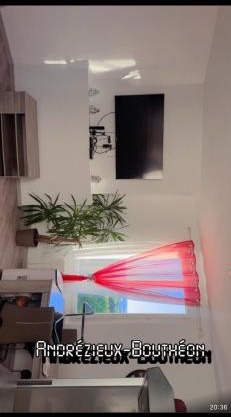 Appartement 1 chambre au calme Andrezieux-Boutheon