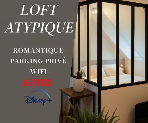 Appartement Atypique- Esprit Atelier Loft - parking privé - Wifi - vidéo