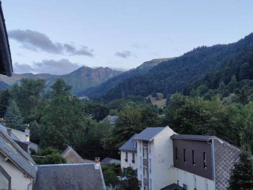 Appartement avec vue sur le Sancy, parking gratuit