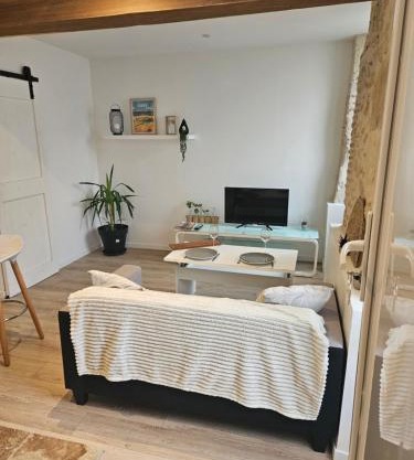 Appartement centre historique d'Auch