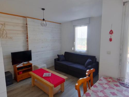 Appartement confortable au pied des pistes - 4 pers - FR-1-834-16